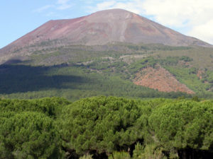 tlecamere di sorveglianza con sistema di lettura targhe, videosorveglianza per il parco naturale del vesuvio